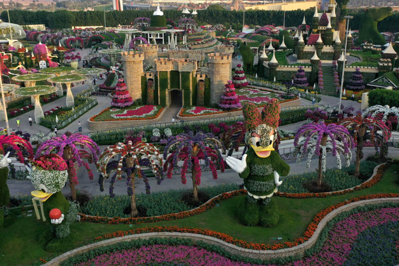 miracle garden dubai